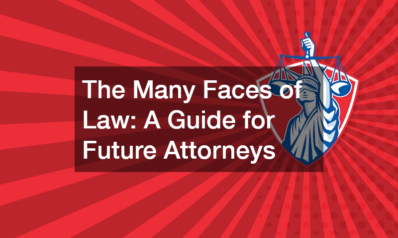 The Many Faces of Law  A Guide for Future Attorneys
